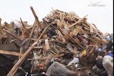 Предприятия по сортировке мусора в Тольятти налаживают работу с единым регоператором