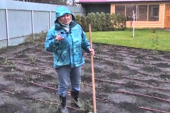 Дачные советы 08.11.2012