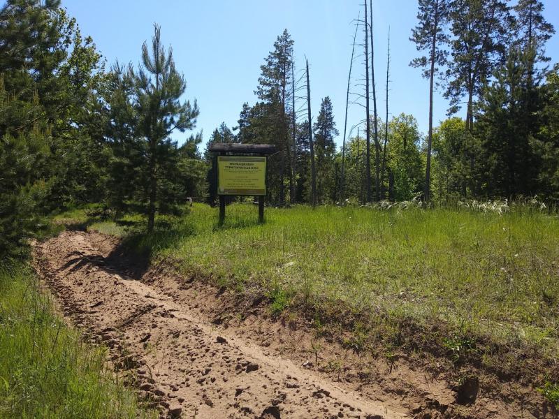 В Самарской области усилили контроль за лесами Борского района
