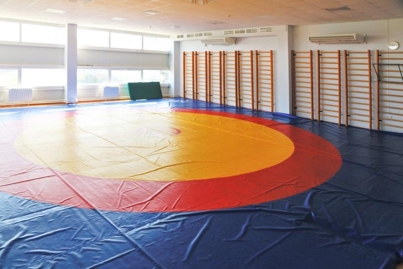 День самбо в России: какие праздники отмечают 16 ноября