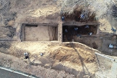 Самарские палеонтологи обнаружили останки амфибий, которые жили более 200 млн лет назад