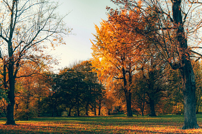 Название статьи