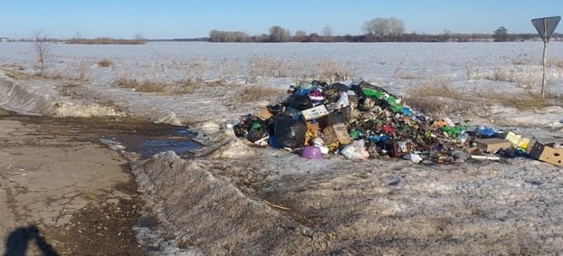 В Кинель-Черкасском районе ликвидировали незаконную свалку