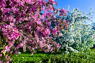 Народные приметы на 12 мая 2025 года: что нельзя делать в этот день