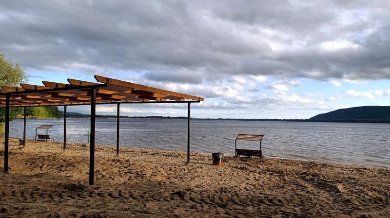 В России с 1 сентября нельзя будет брать домашних животных на пляж