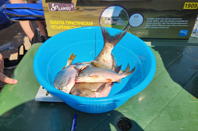 На большую семейную рыбалку  в Усть-Кинельском собралось две сотни участников