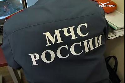 За посещение лесов жителям Самарской области грозит штраф