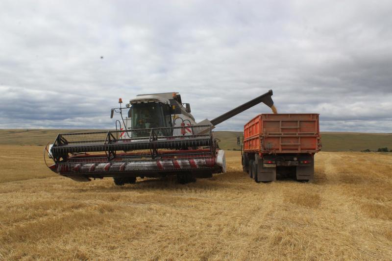 Задача со "Звездой": как аграрии Исаклинского района закончили агросезон