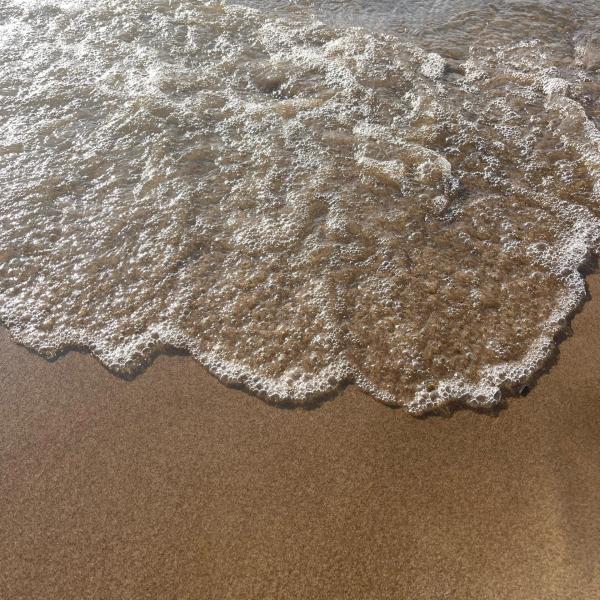 Забудьте о замках из песка: самарцам рассказали, чем можно заразиться в водоемах и пляжах
