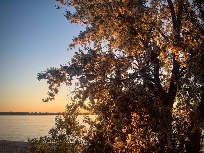 В Самарской области 4 июня потеплеет до 28 градусов 
