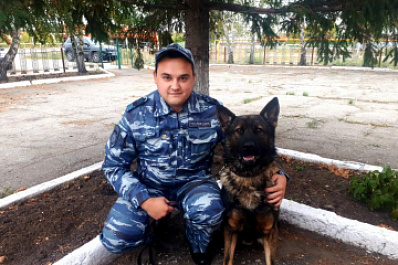 В Самарской области с помощью Одина за полчаса нашли вора, обокравшего частный дом