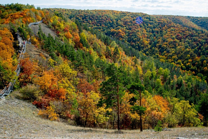 Название статьи