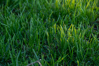 Название статьи