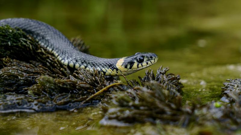 Народные приметы на 25 сентября 2025 года: что нельзя делать в этот день