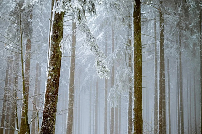 Погода в Самарской области успокоится к понедельнику