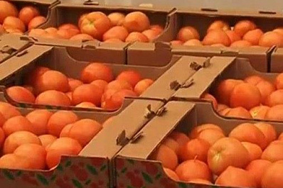 За неделю в Самарской области подорожали помидоры и пшено