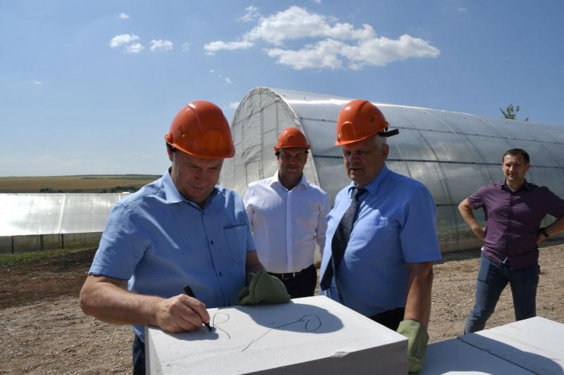 В Самарской области реализуется уникальный проект по выведению новых сортов картофеля