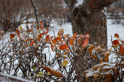 Народные приметы на 6 декабря 2024 года: что нельзя делать в этот день