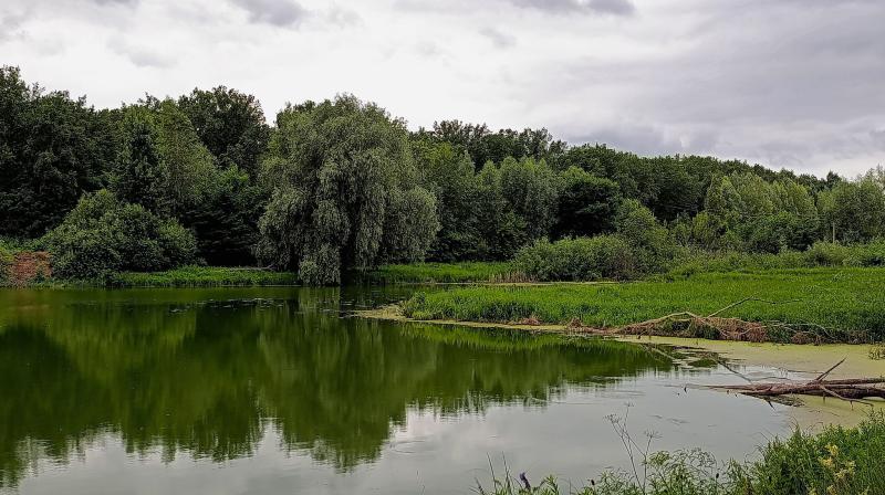 В Сызранском районе очистят русло реки 