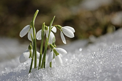 В Самаре температура воздуха дойдет до +19 градусов 19 апреля 2022 года