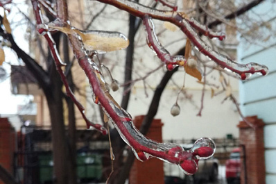 Из Ульяновской в Самарскую: дойдет ли снегопад до 63-го региона