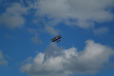 В Самаре хотят отреставрировать мемориал Ольги Санфировой