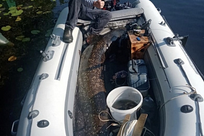 Житель Самары поймал настоящего подводного "монстра"   