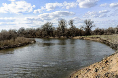 Название статьи