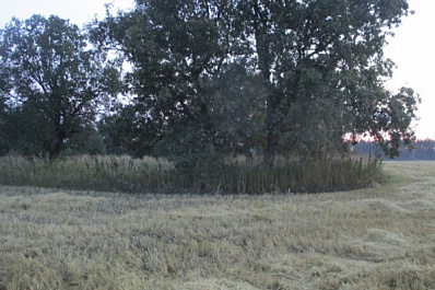 В Самарской области будут судить охотника, который застрелил человека