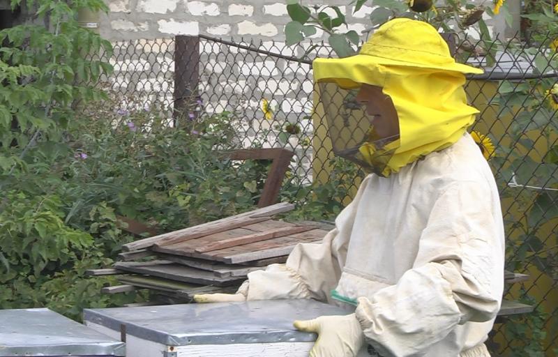 В Самарской области развивается практика социальных контрактов