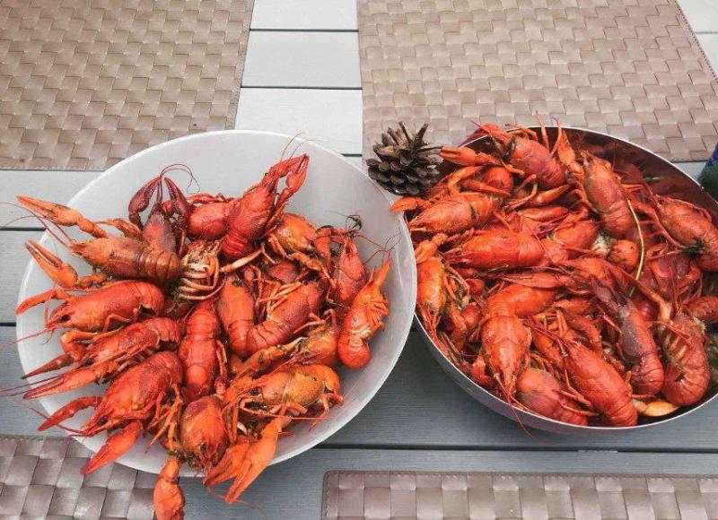 В День туризма в Самаре откроется гастрономический фестиваль