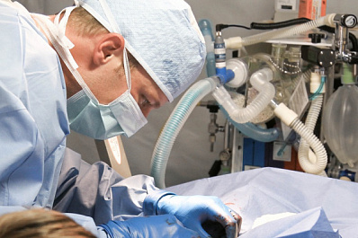 Жители Сызрани потеряли питомца после простой операции