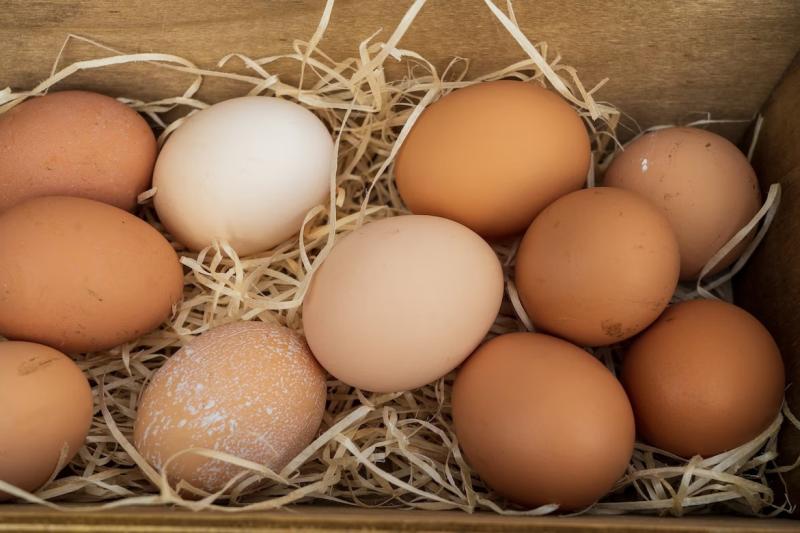 Диетолог раскрыла самый вредный способ приготовления яиц