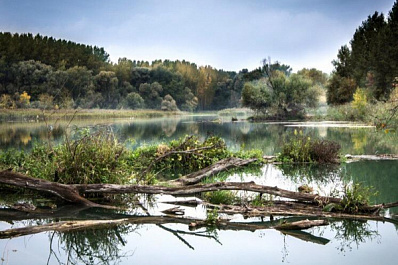 Названы сроки работ по расчистке Сызранки