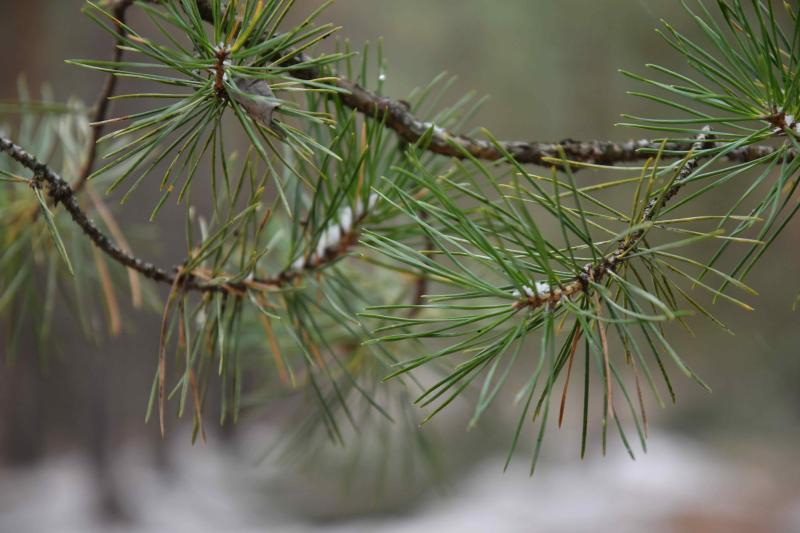 Погода на 10 октября 2025 года: народные приметы и прогноз синоптиков