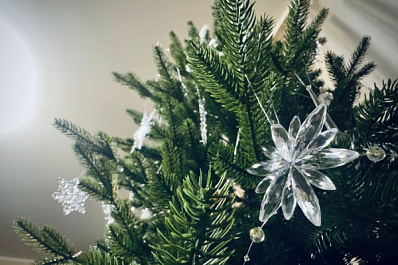 Как нарядить елку в 2026 году: советы астролога для встречи Огненной Лошади