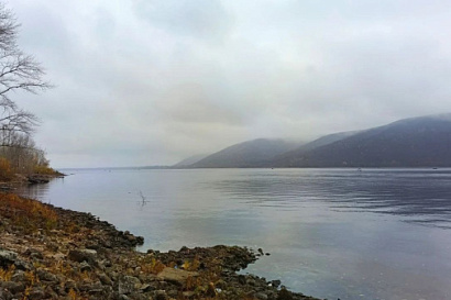 Название статьи