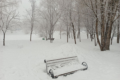 Самарскую область 20 января накроет вьюга