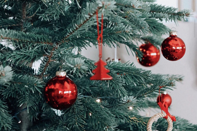 Гори ясно: в МЧС провели эксперимент с поджогом трех видов ёлок