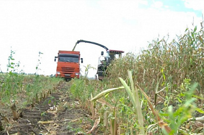 Самарские парламентарии обсудили сельхозобстановку в Кинельском районе