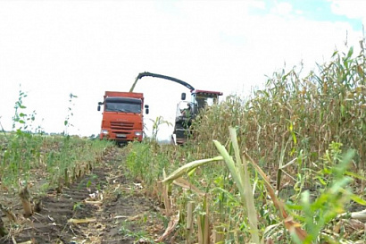 Название статьи