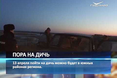 Названа дата открытия сезона охоты в Самарской области