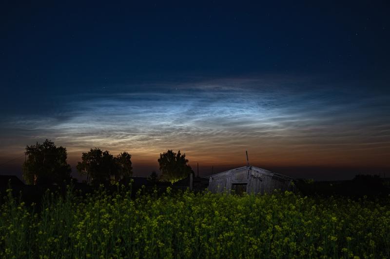 Перед рассветом в небе над Самарской областью увидели большое поле серебристых облаков