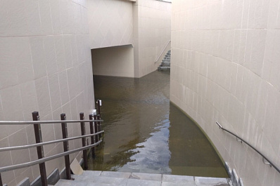 Самарцы предложили запустить на "Самару Арену" крокодилов