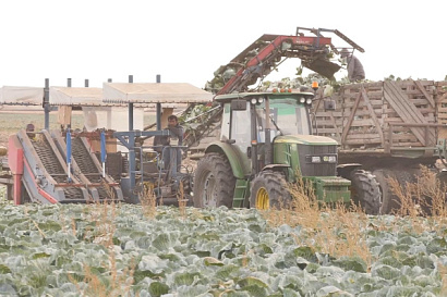 Название статьи