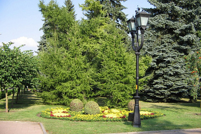 Жителей Самарской области приглашают поддержать проекты, заявленные от нашего региона на всероссийский конкурс Budget4me.ru