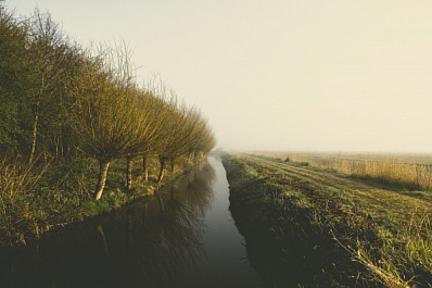 Труп избитого мужчины несколько дней пролежал в канаве в Ветлуге