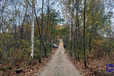 В нацпарке "Самарская Лука" 53-летняя женщина на Kia врезалась в дерево