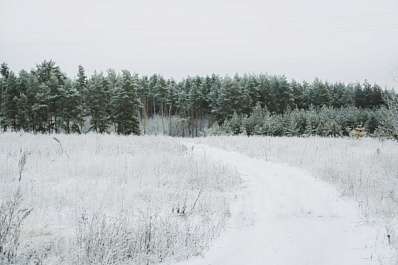 Самарскую область 16 февраля занесет снегом