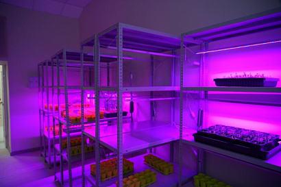 Название статьи